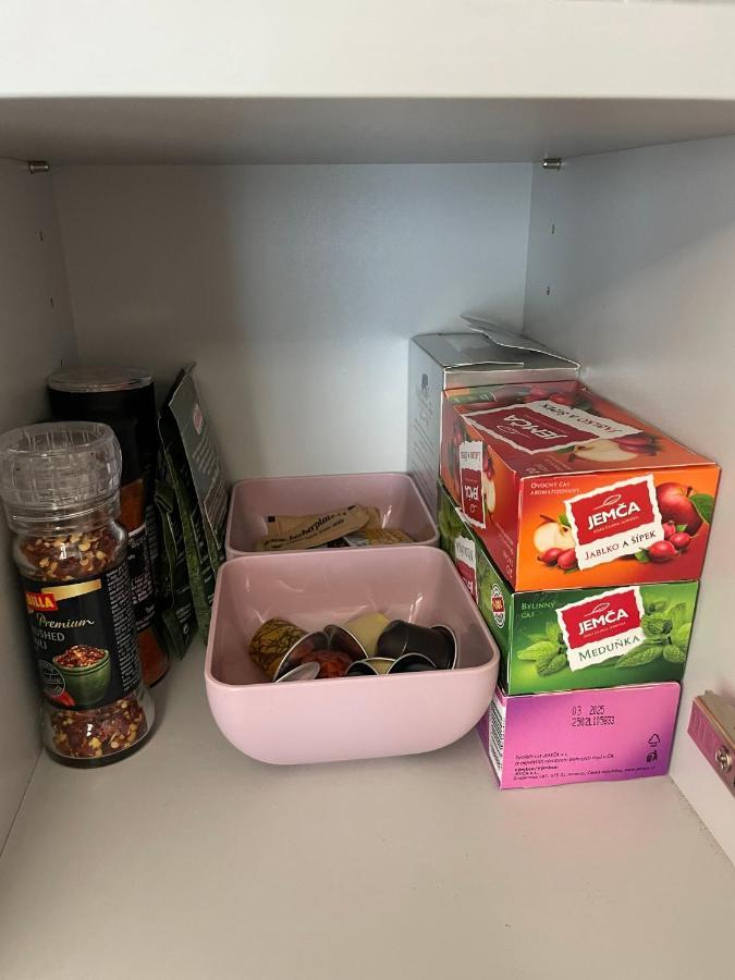 אברטאמי Apartman Plesivec U Sjezdovky מראה חיצוני תמונה
